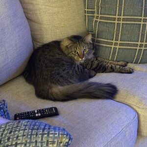 Meet your Posher, Faith